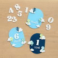 Little Skies Milestone Plaques