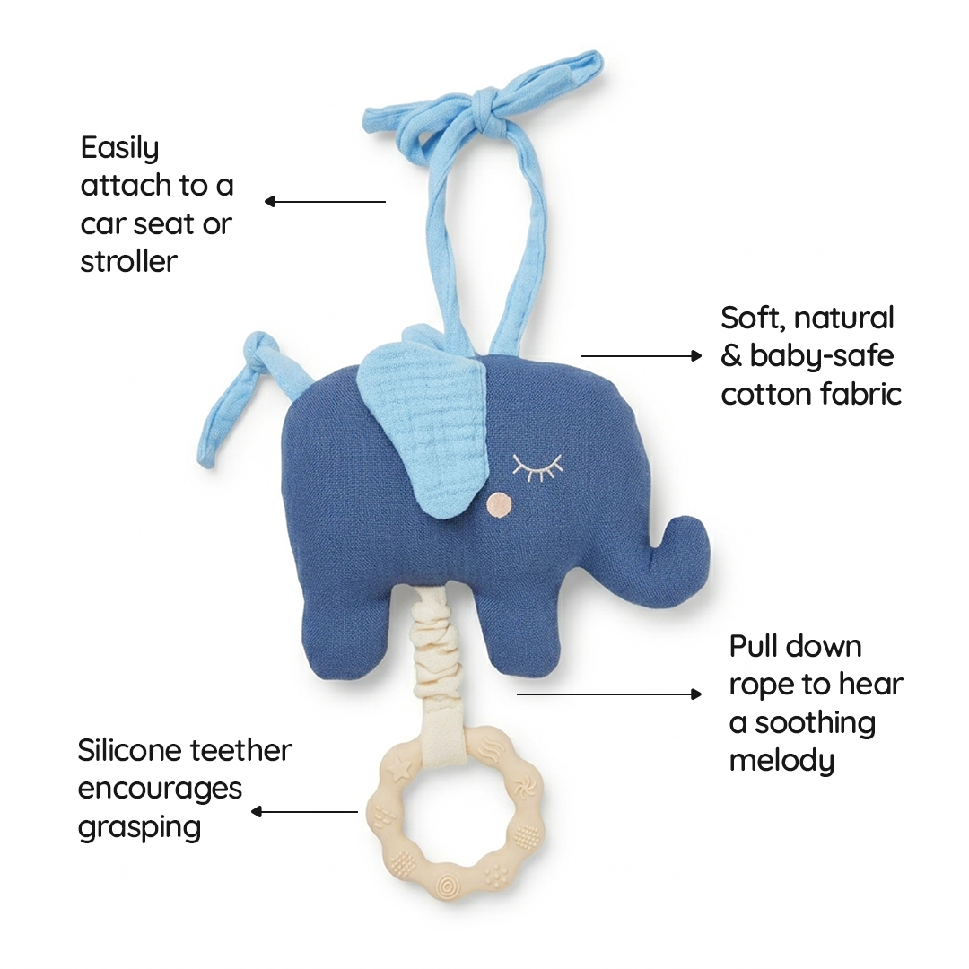 Elephant Gift Basket