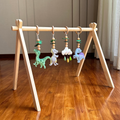 Green Dinosaur Play Gym